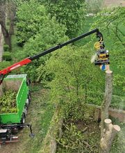 Baum-plus GmbH Bild 8