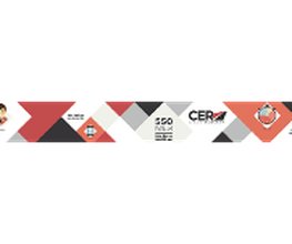 CER V image 12