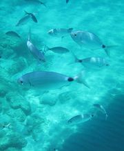 Location 2000 image 7