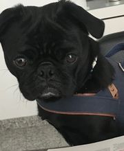 Rechtsberatung, Versicherungsberater, Unternehmensberater, Datenschutz Bild 9