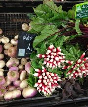 L'Halle Terre Native image 1