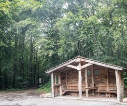 FriedWald Bad Berka Bild 5