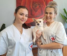Bayerisches Rotes Kreuz - Pflegestation Bild 2