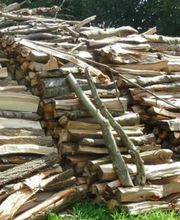 Carbones Y Transportes Mencía S L imagen 1