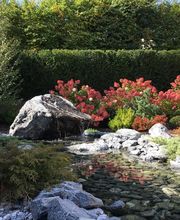 Gschwend Gartenbau und Gartenpflege GmbH Bild 13