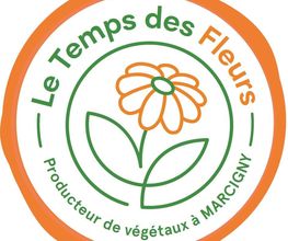Le Temps Des Fleurs Marcigny image 3