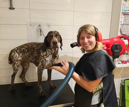 Gallery Cliente