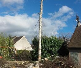 L'Arbre Heureux image 5