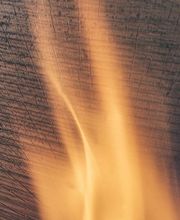 Daniel Flückiger Bild 2