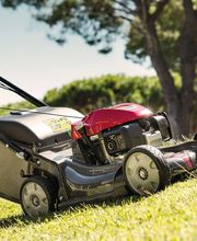 Faure Jardinage image 5