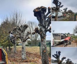 La Clé des Jardins image 12