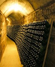 Borel-Lucas Champagne image 5