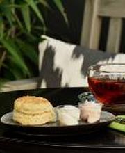 TeeGschwendner Bild 6