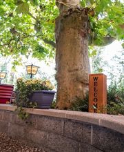 Restaurant Bahnhöfli - Ihre Adresse für feines Essen in der Region Brugg Aargau Bild 4