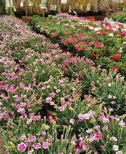 HELLWEG - Die Profi-Baumärkte Bonn Bild 3