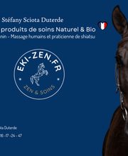 Ekizen image 3