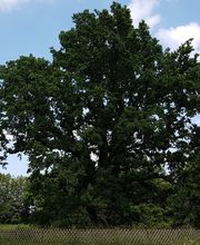 EselWanderHof-Spree-Neiße Bild 8