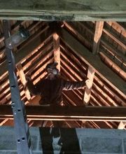 Agence Antiparasitaire Du Bois Pontivy image 14