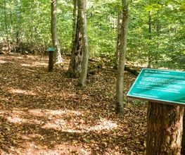Auf dem kurzen Infopfad durch den Wald können sich Waldbesucher über das FriedWald-Konzept informieren.