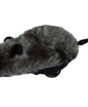 Les accessoires de Daisy image 13