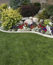 Baumpflege Dreyer Althoff Bild 2