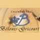 Champagne Belouis-Gricourt
