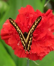 Im-Ein-Klang Körper Geist und Seele Bild 1