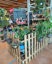 Bricomarché Maintenon image 11