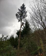 A.D.S Services image 11