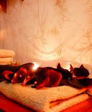 Institut O'Delys image 3