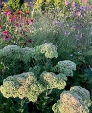 Vogel Gartenbau AG Bild 8