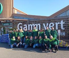 GAMM VERT image 2