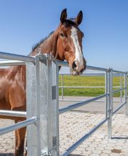 Alpsteinzaun + Tor AG Bild 7