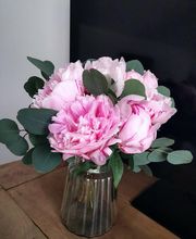 Hibiscus image 18