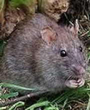 Montélimar 4D image 5