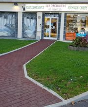 Les Orchidées image 6