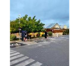 Wenea imagen 2