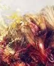 Evolu´tif Coiffure image 2