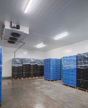 Gallery Professionale