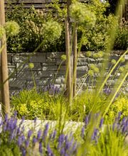 Popp Gartenbau AG Bild 7