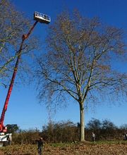 Corberon Environnement SARL image 15