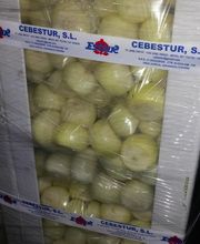 CEBESTUR,S.L. imagen 15