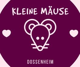 Kleine Mäuse Dossenheim Bild 1