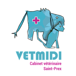VETMIDI St Prex - Cabinet vétérinaire