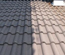Lacroix Pro Renov image 2