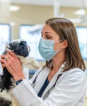 Willowrun Veterinary Hospital image 4