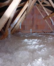 L2E France Kogel image 9