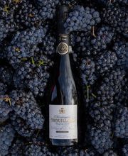 Champagne Trouillard image 5