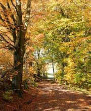 Bestattungen Stadtfeld & Wagner Bild 1