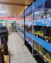 Aquarienanlage I.jpg